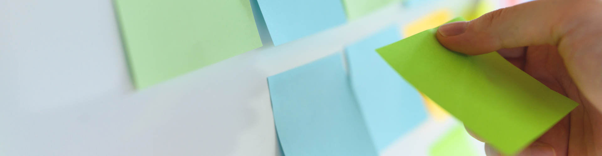 NEW (1920 x 500 px) (1)