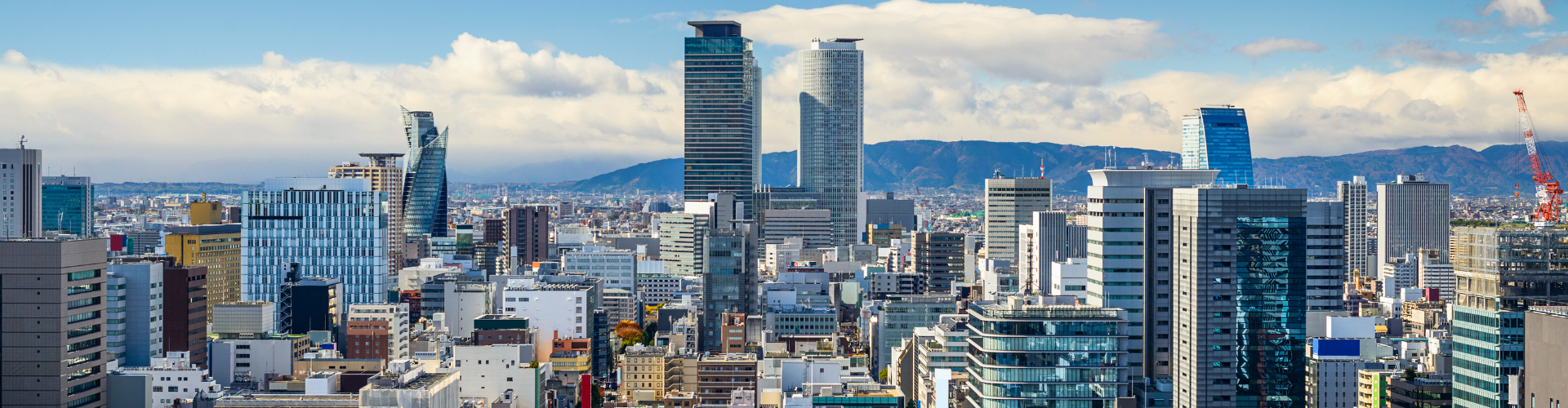 dx-consulting-regional-dx_003